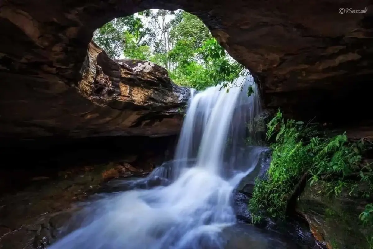 ประกาศปิด 'สวนพฤกษศาสตร์ภูฝอยลม' 4 เดือน ฟื้นฟูธรรมชาติ-เฝ้าระวังไฟป่า