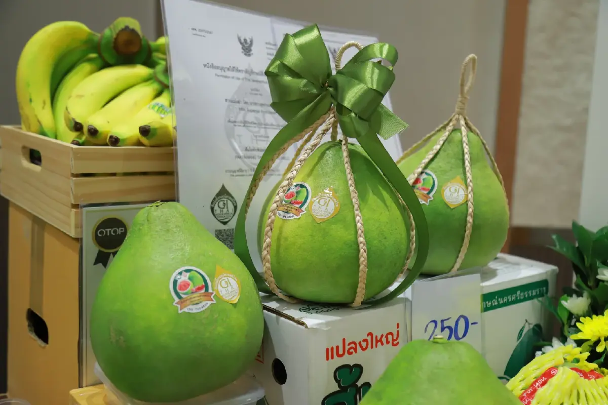 กรมส่งเสริมการเกษตร ปั้นเกษตรกร ก้าวเป็นผู้ประกอบการยุคดิจิทัล