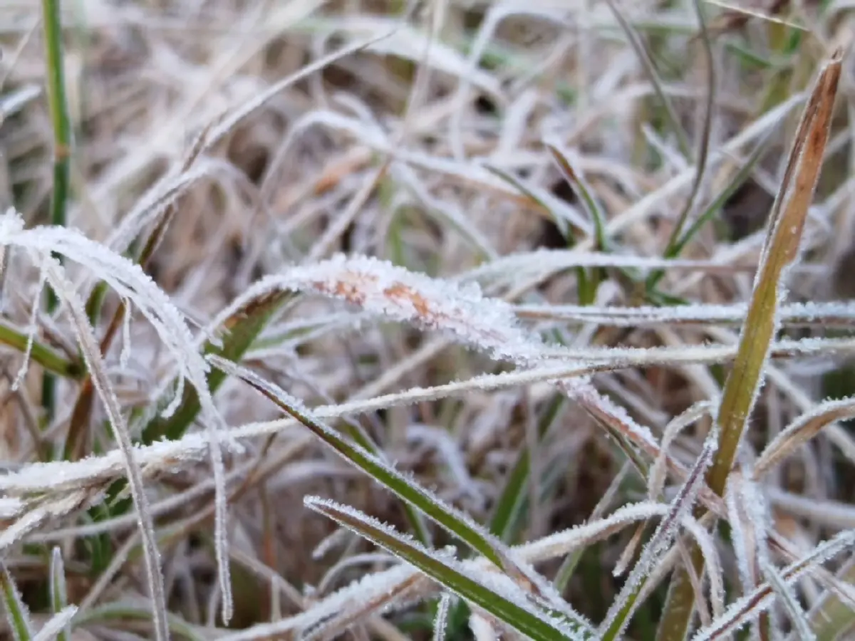 'แม่คะนิ้ง' โผล่ยอดดอยอินทนนท์ หนาวมาก 3°C นทท.แห่รับแสงแรก 2569