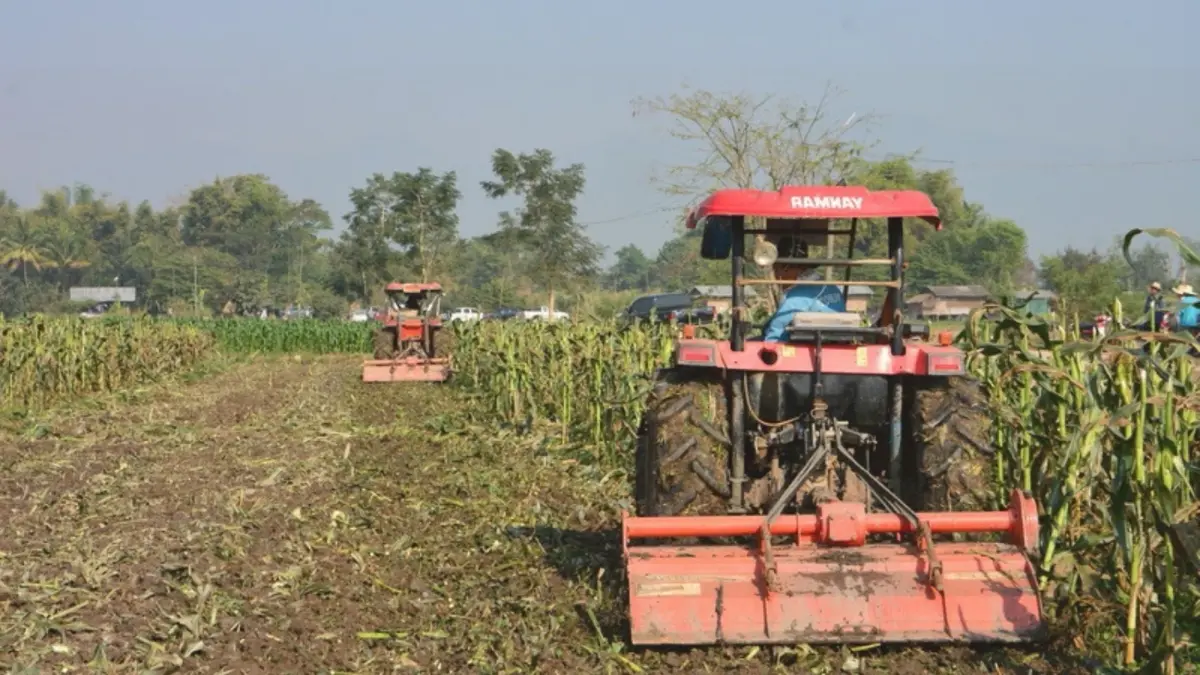 ชวนเกษตรกร งดเผา ลด PM 2.5  'ไถกลบตอซัง สร้างดินยั่งยืน ฟื้นสิ่งแวดล้อม'