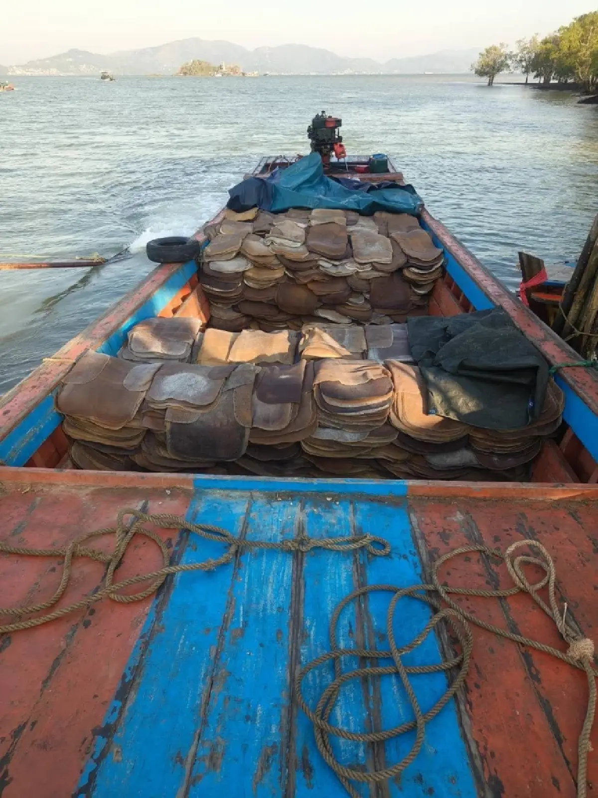 กยท. คุมเข้ม 2เดือนแรก เก็บค่ายางผ่านแดนไทย ที่ระนอง 32 ราย  2.84 แสน กก.   1.42  แสนบาท