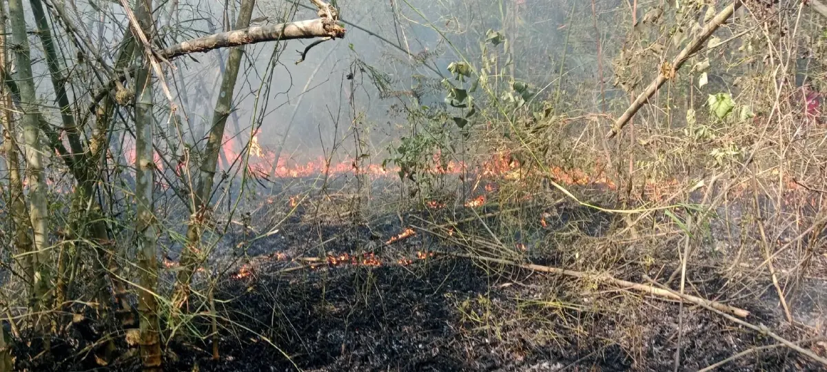 อช.เขาใหญ่ ดับไฟป่า 'ทุ่งงูเหลือม' สำเร็จ เสียหาย 50 ไร่ เตือนมือเผาโทษหนัก!