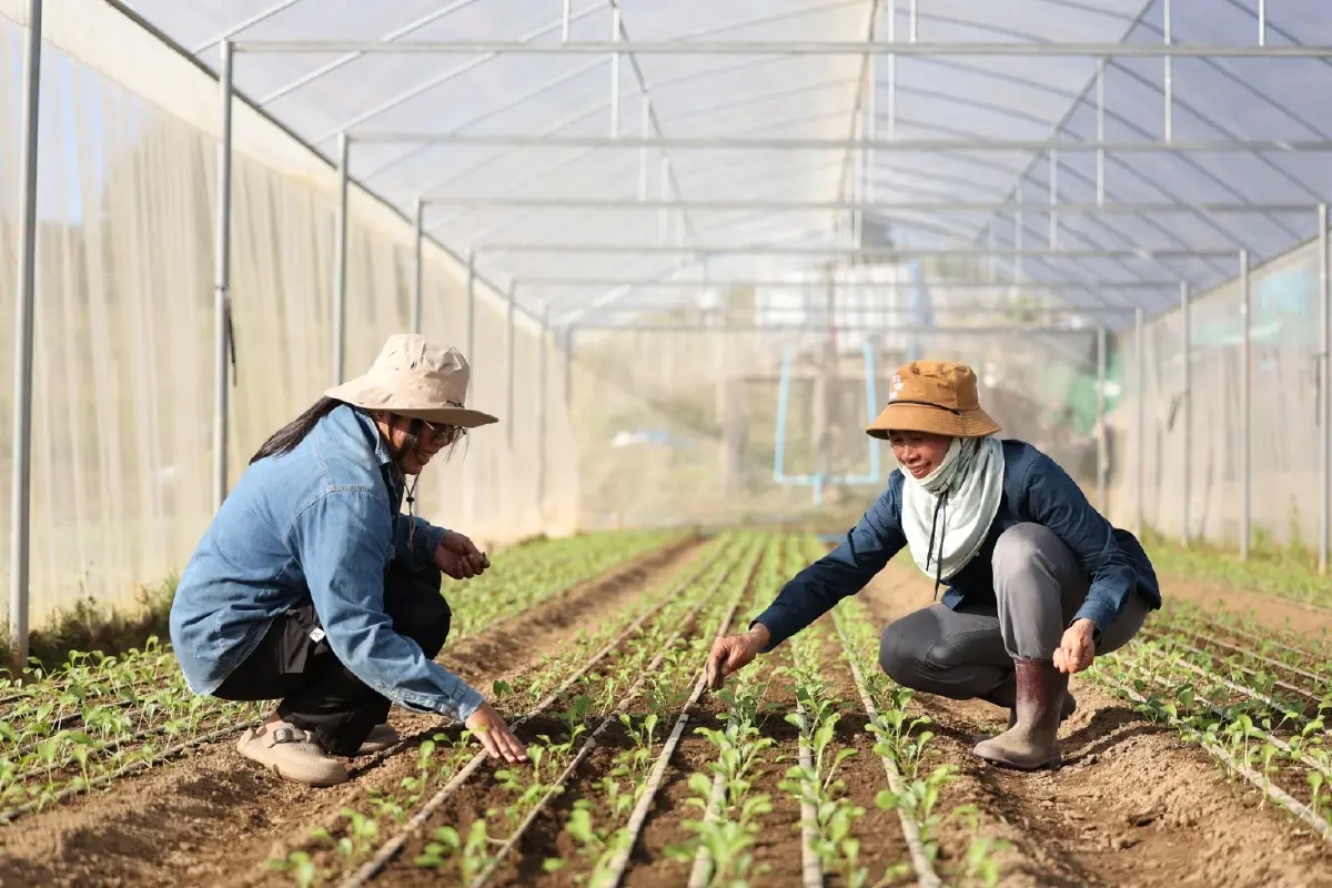 “แม่จริมโมเดล” ต้นแบบการพัฒนาพื้นที่สูงที่ขยายผลได้จริง