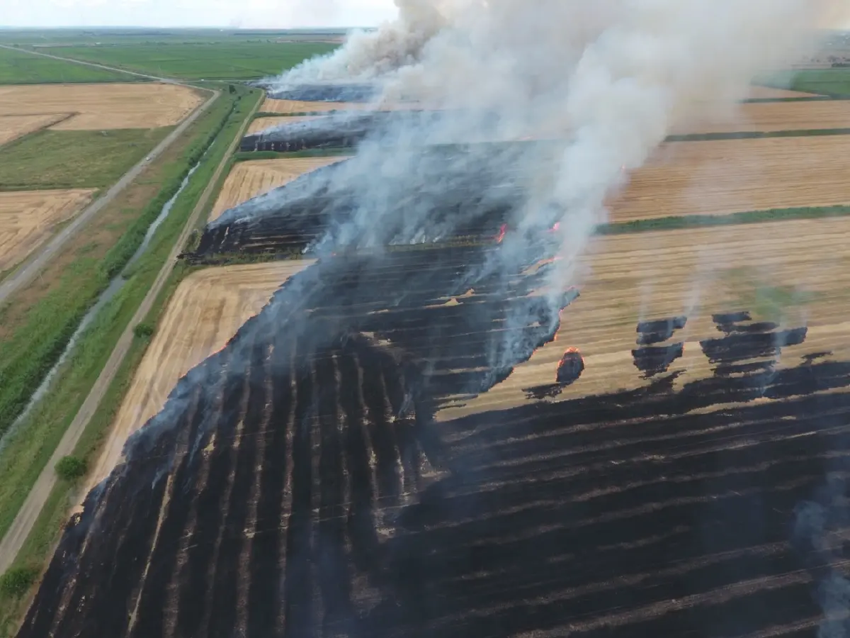 เทคโนโลยีดิจิทัล จัดการฝุ่นจาก ' ภาคเกษตร'  อย่างยั่งยืน