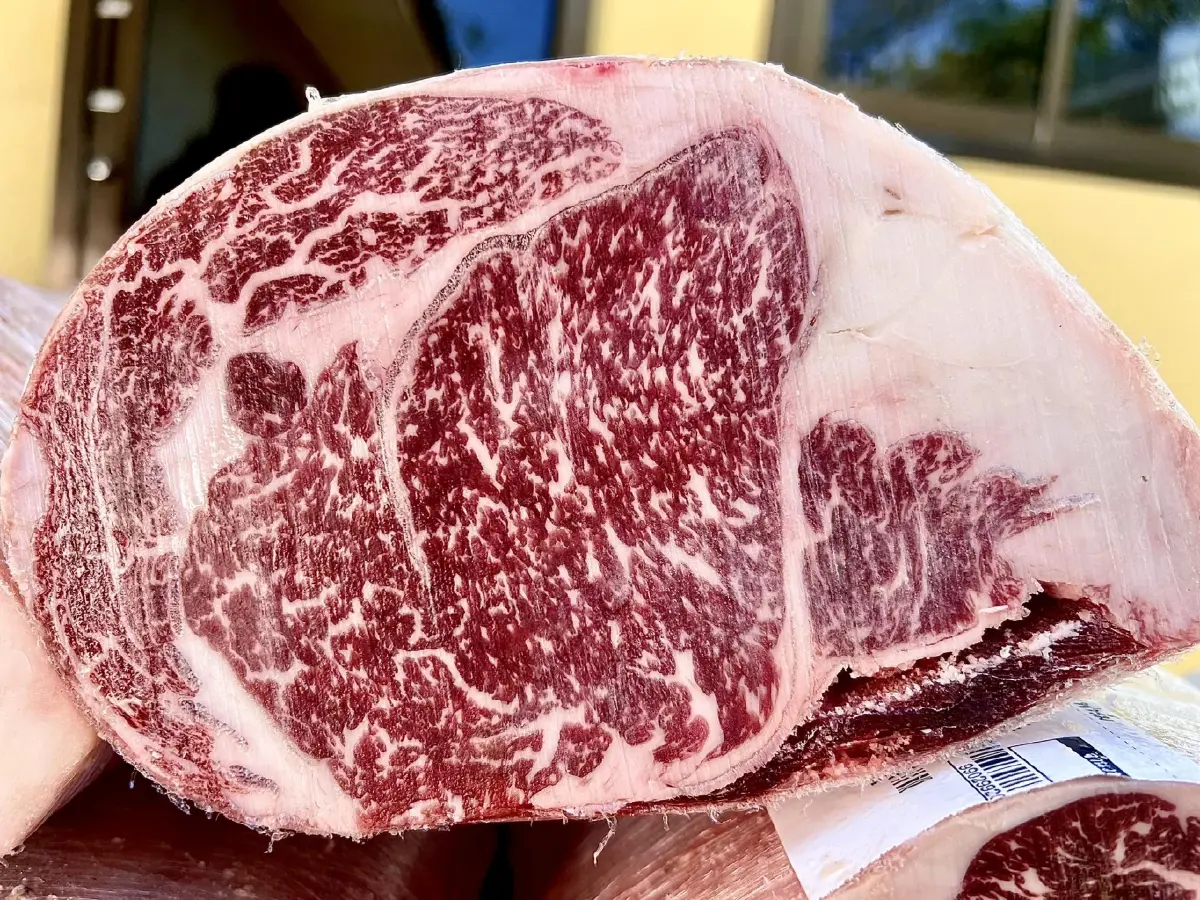 NIA ฉายภาพความสำเร็จ “โคดำลำตะคอง” ในงาน Thailand Beef Fest 2026