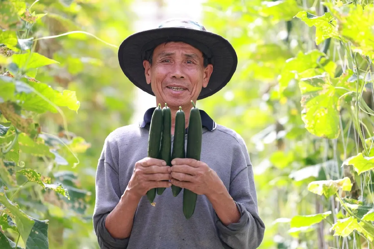 “แม่จริมโมเดล” ต้นแบบการพัฒนาพื้นที่สูงที่ขยายผลได้จริง