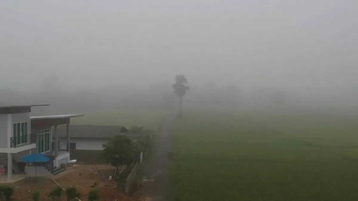 อากาศหนาวสุดขั้ว! อีสานดิ่ง 8°C  - ภาคเหนือลดอีก กทม. ยะเยือก 16 องศา