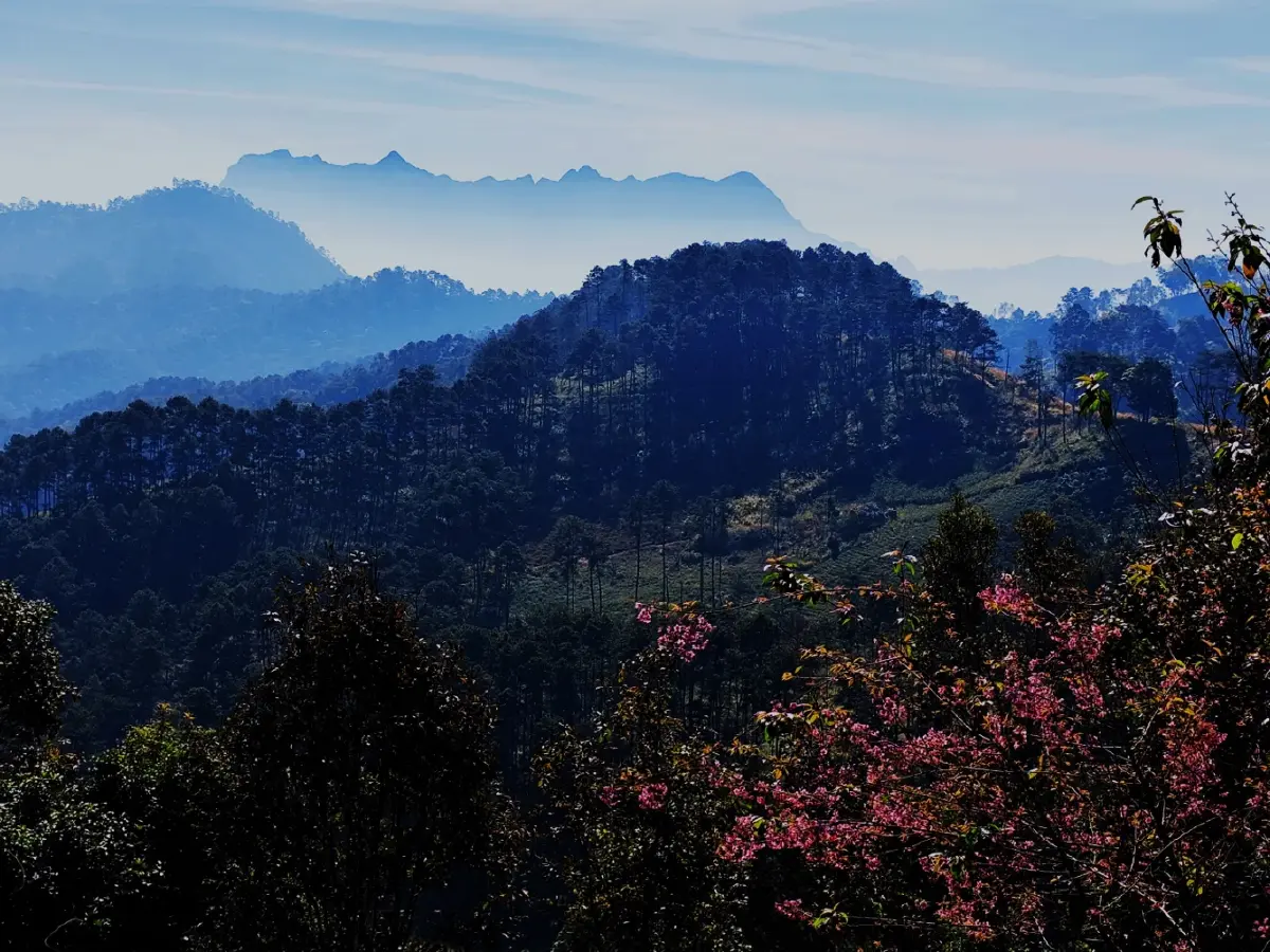 เลาวู....ประตูสู่เวียงแหง