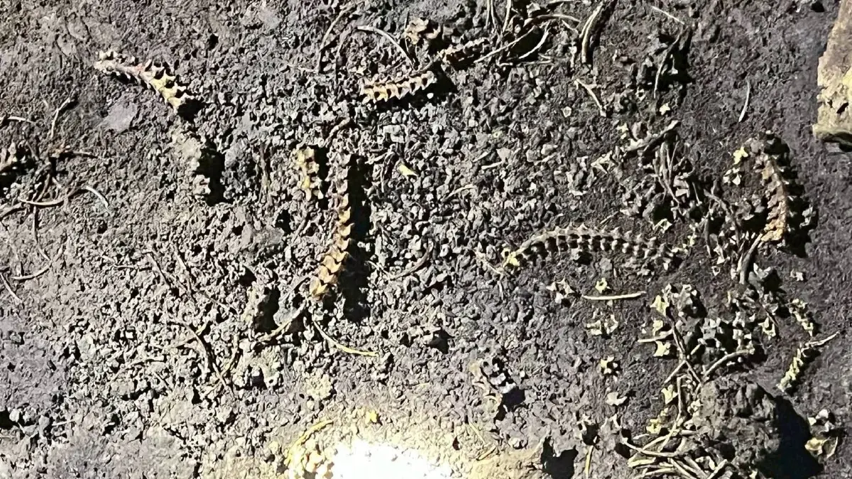 ปราสาทขอมที่สูงที่สุดในไทย เร่งสำรวจเส้นทางเดินป่า เตรียมเปิดตัว