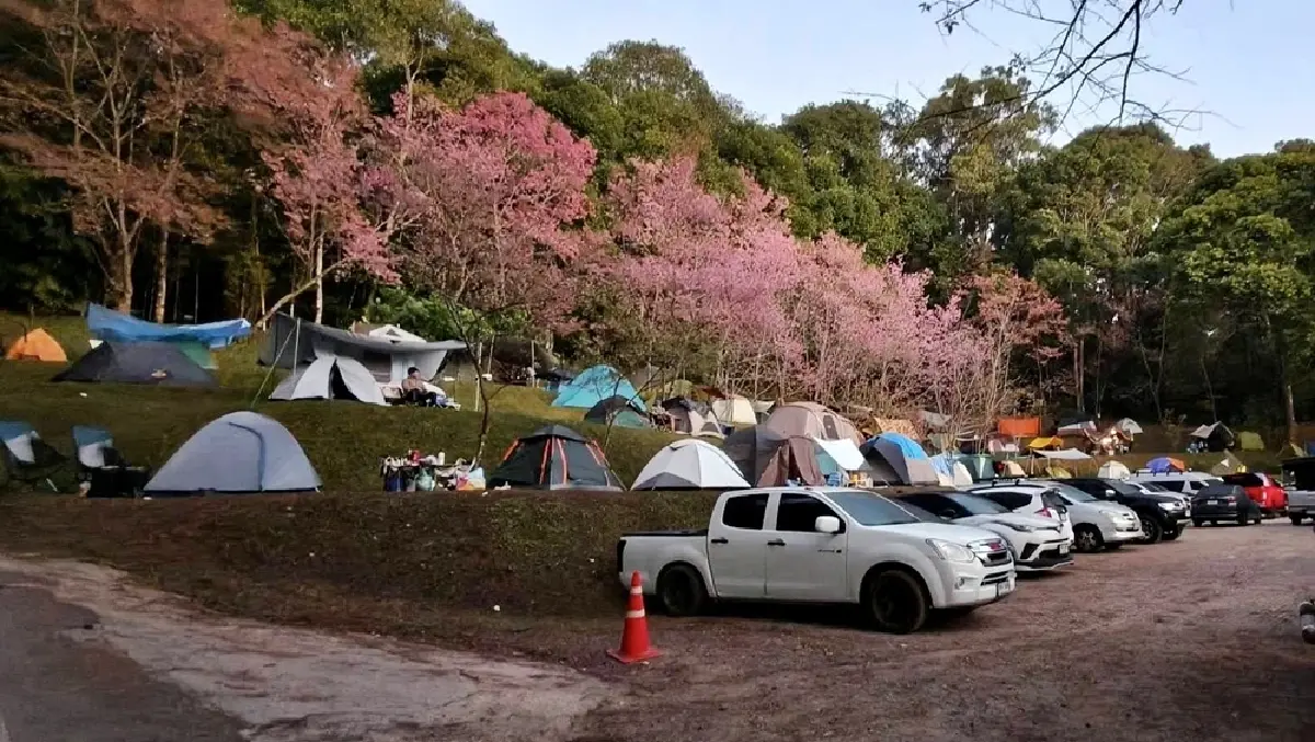 วันหยุด ปีใหม่​ 2569 แห่เที่ยวอุทยานฯ คึกคัก 2 วัน​ ทะลุ 5 แสนคน 'เขาใหญ่' อันดับ 1