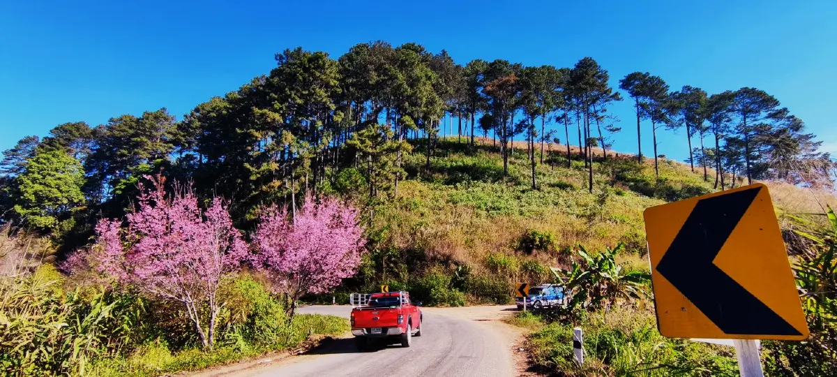 เลาวู....ประตูสู่เวียงแหง