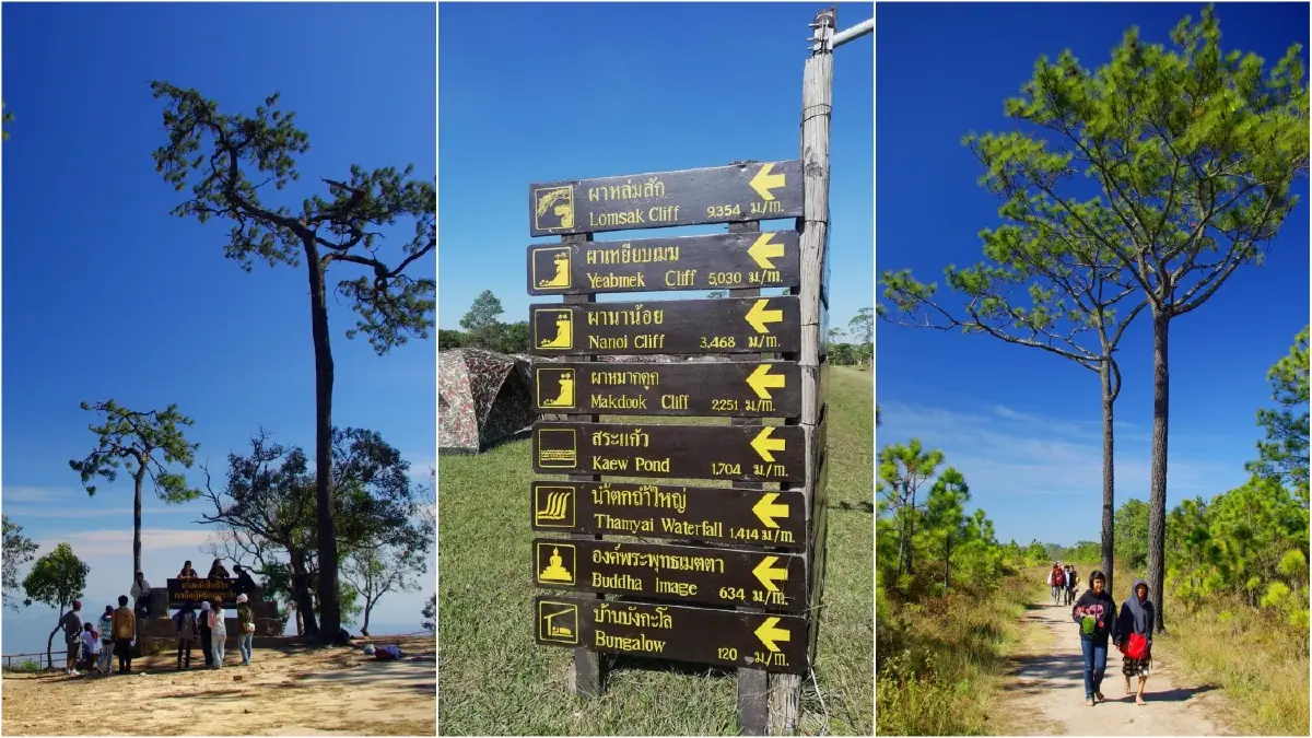 ภูกระดึง....จะมีกระเช้า