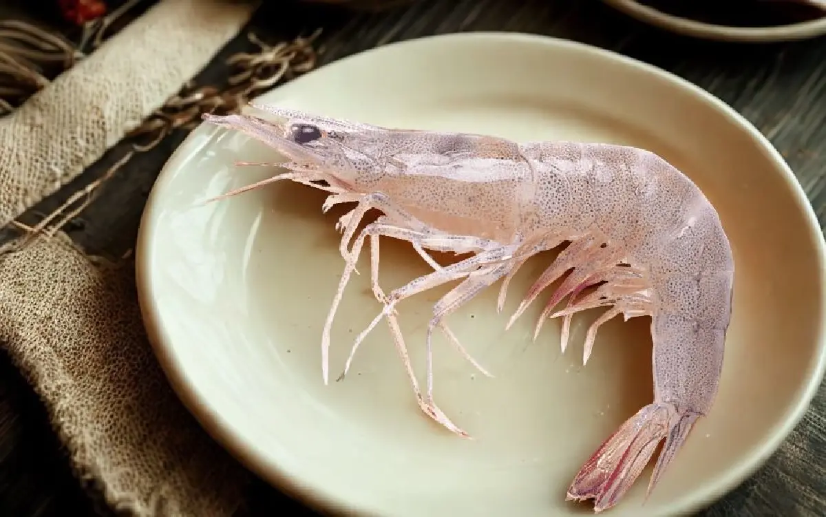 Next Step คนเลี้ยงกุ้ง ปรับตัวสู่อนาคต เติบโตอย่างยั่งยืน