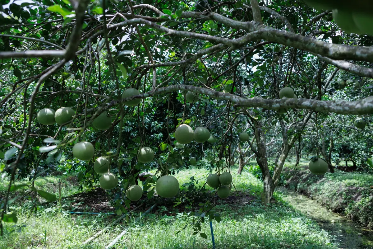 นักเดินทาง ‘นกนางนวล’ แห่งพื้นที่ชุ่มน้ำดอนหอยหลอด