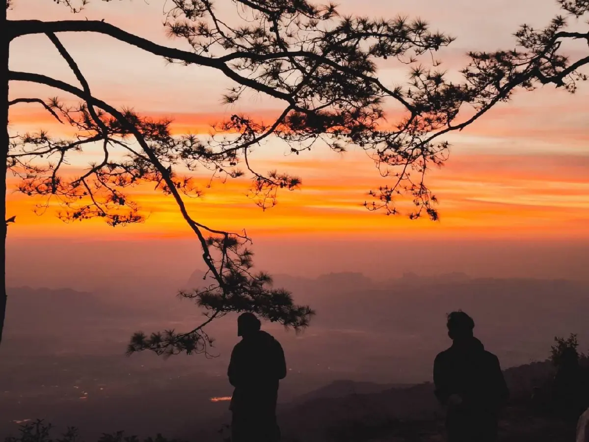 เที่ยวเลย หนาวมาก 'ภูกระดึง' แตะ 9 องศา ผานกแอ่น นทท.แห่พิชิตแสงแรก