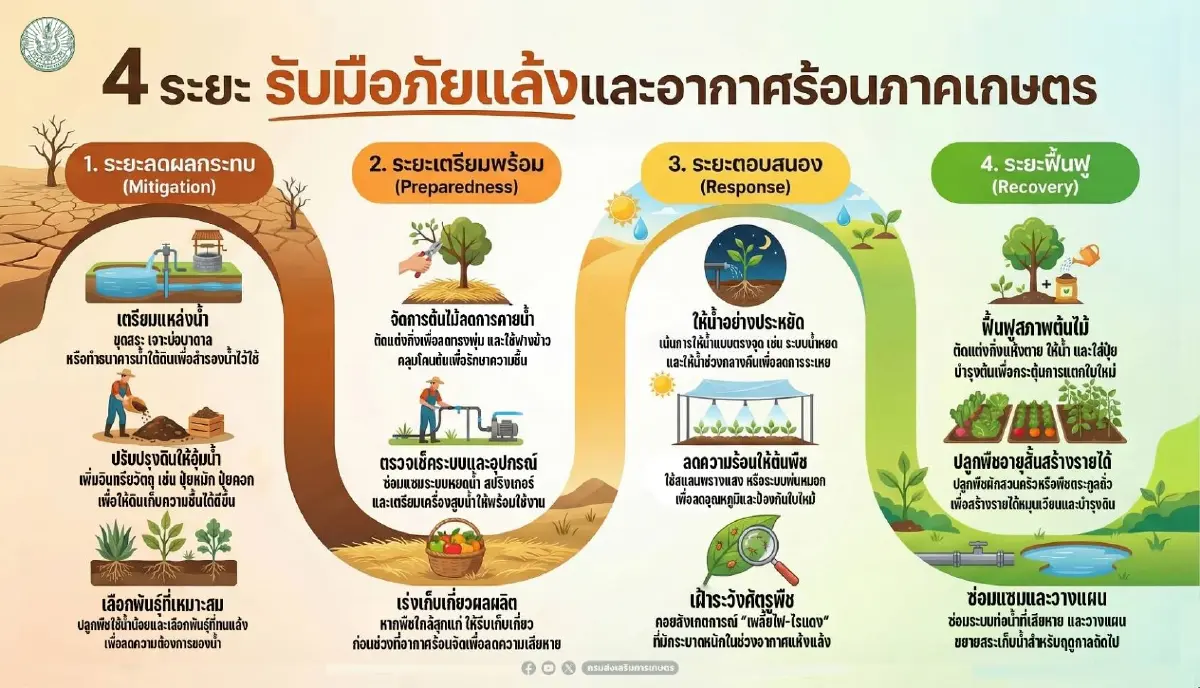 เกษตรฯ เคาะแผนเพาะปลูกฤดูแล้ง ปี69 คุมนาปรัง ลุ่มเจ้าพระยา 8.59  ล้านไร่