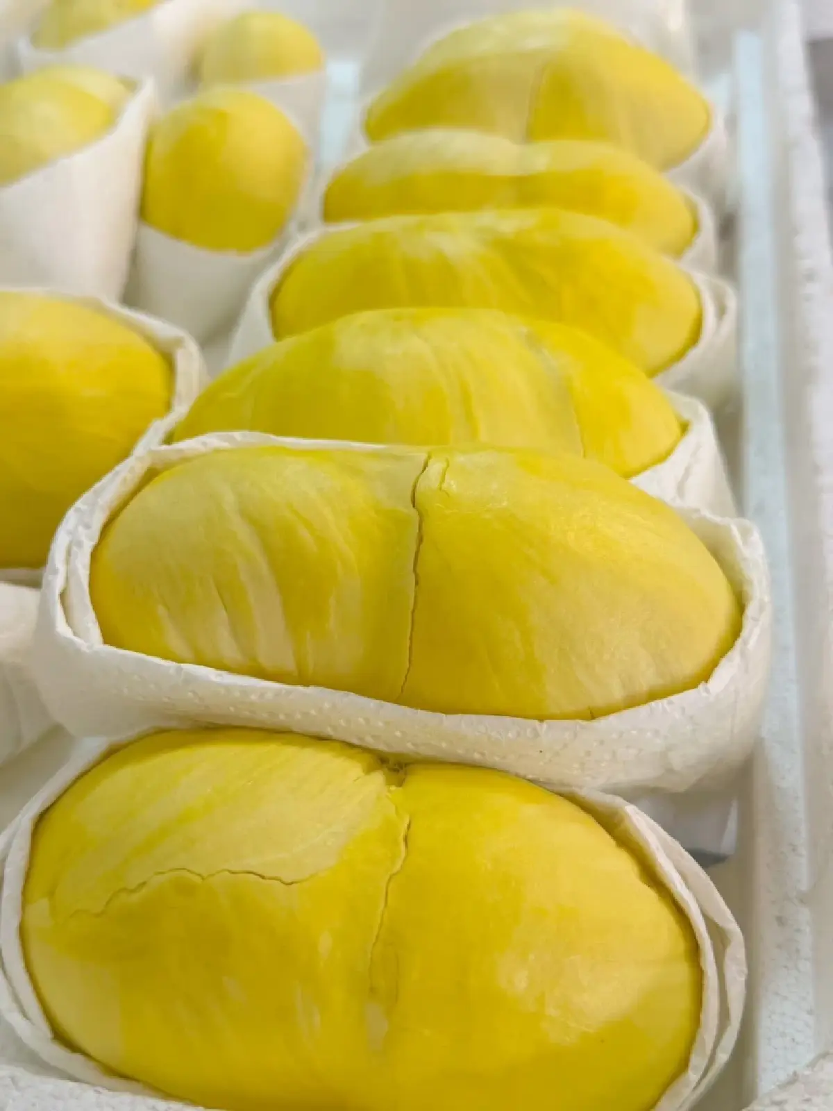 พาณิชย์  เตรียมแผนบริการจัดการ "ทุเรียน" รับผลผลิตทยอยออกตลาด เม.ย.–มิ.ย.