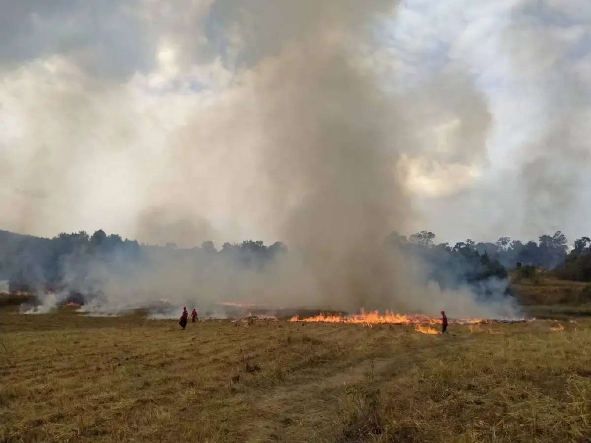 อช.เขาใหญ่ ดับไฟป่า 'ทุ่งงูเหลือม' สำเร็จ เสียหาย 50 ไร่ เตือนมือเผาโทษหนัก!