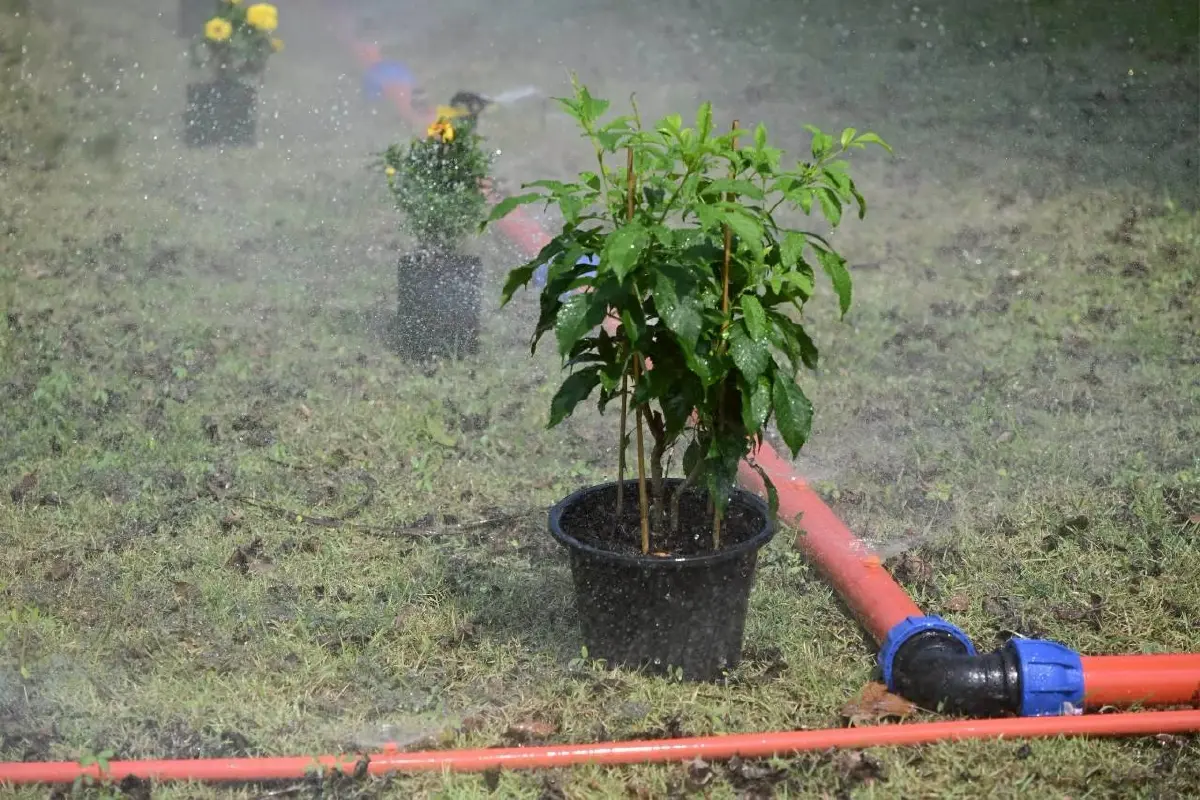 เกษตรฯเปิดนวัตกรรม ทุ่นยางพาราดักผักตบชวา ท่อHDPE เพื่อชลประทานไทย