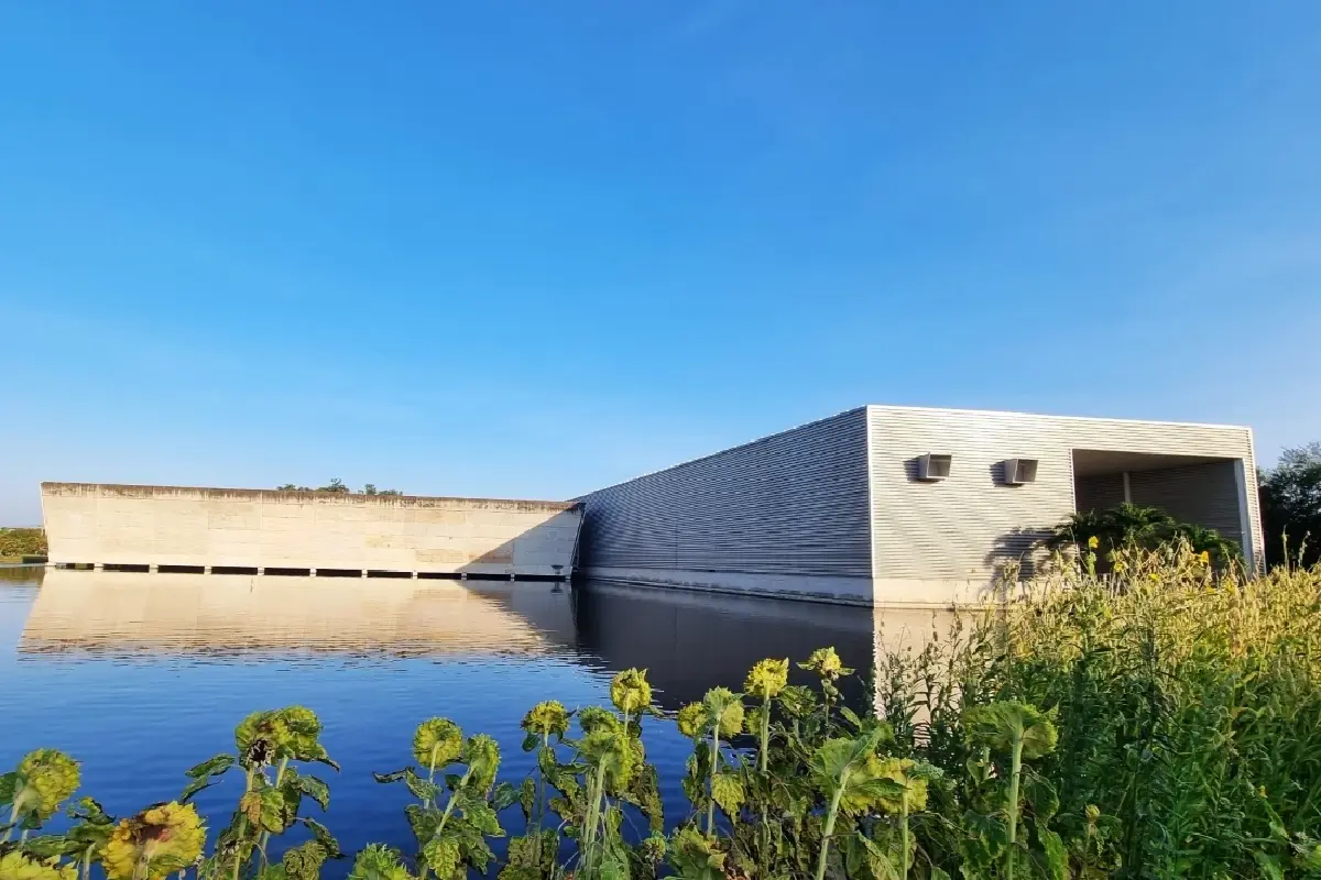 Mission For The Word ล้ำหน้า คิดนอกกรอบแบบแพศยา (PASAYA)