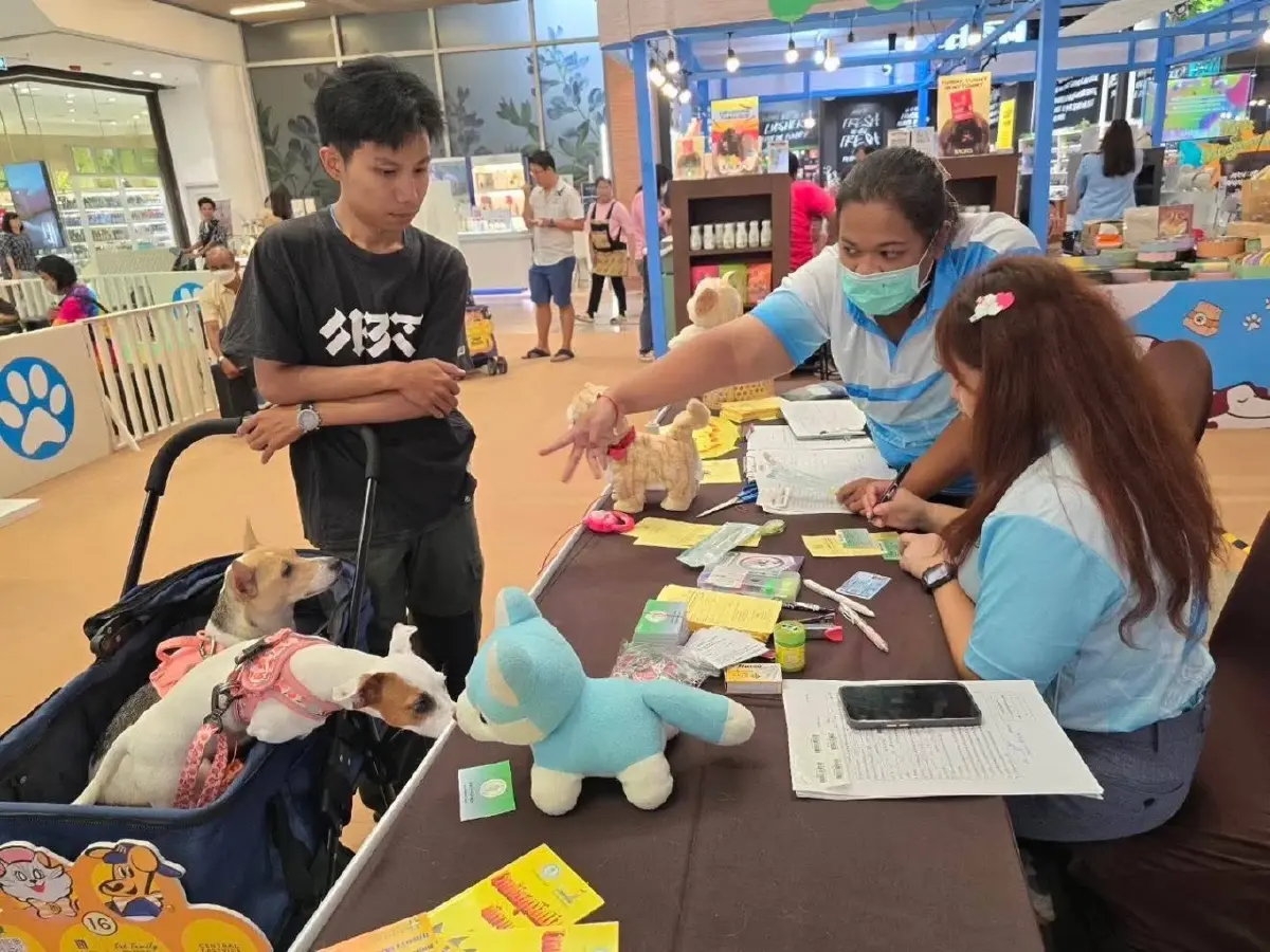 กทม. เลื่อนกฎหมายสัตว์เลี้ยง อีก 1 ปี แก้ปมฝังชิป-คนเช่าที่พัก