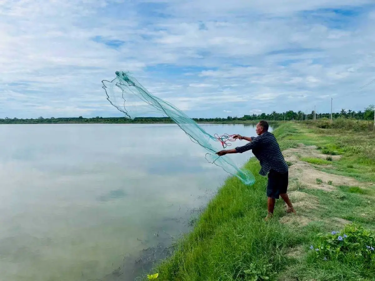 เกษตรกรเพชรบุรีต่อยอด “เลี้ยงปูทะเล” เพิ่มรายได้ ลดต้นทุน