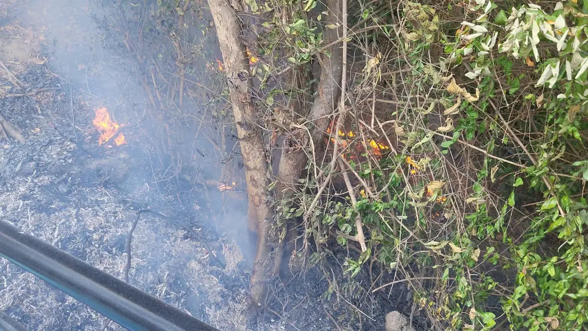 ระทึก! ไฟไหม้ป่าหญ้าหวิดลามป้าย pattaya city​ จนท.เร่ง​ควบคุมสถานการณ์