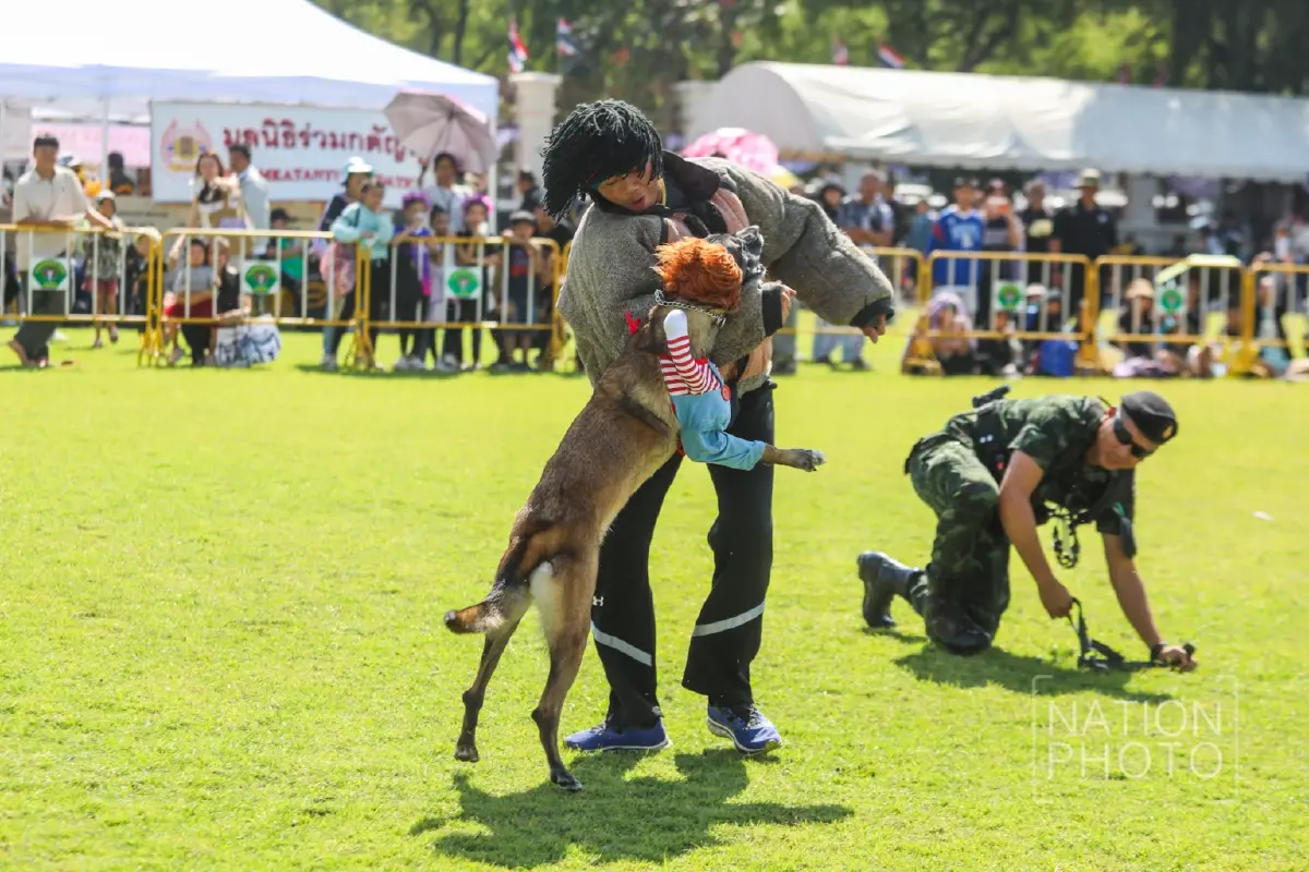 ชมความน่ารัก “สุนัขทหาร K9” โชว์ความสามารถในงาน “วันเด็กแห่งชาติ 2569”
