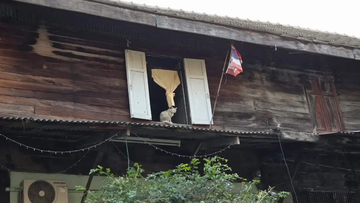 'ลัดเลาะล่องกรุง' ท่องเที่ยวเส้นทางใหม่ 'คลองบางลำพู-คลองโอ่งอ่าง'