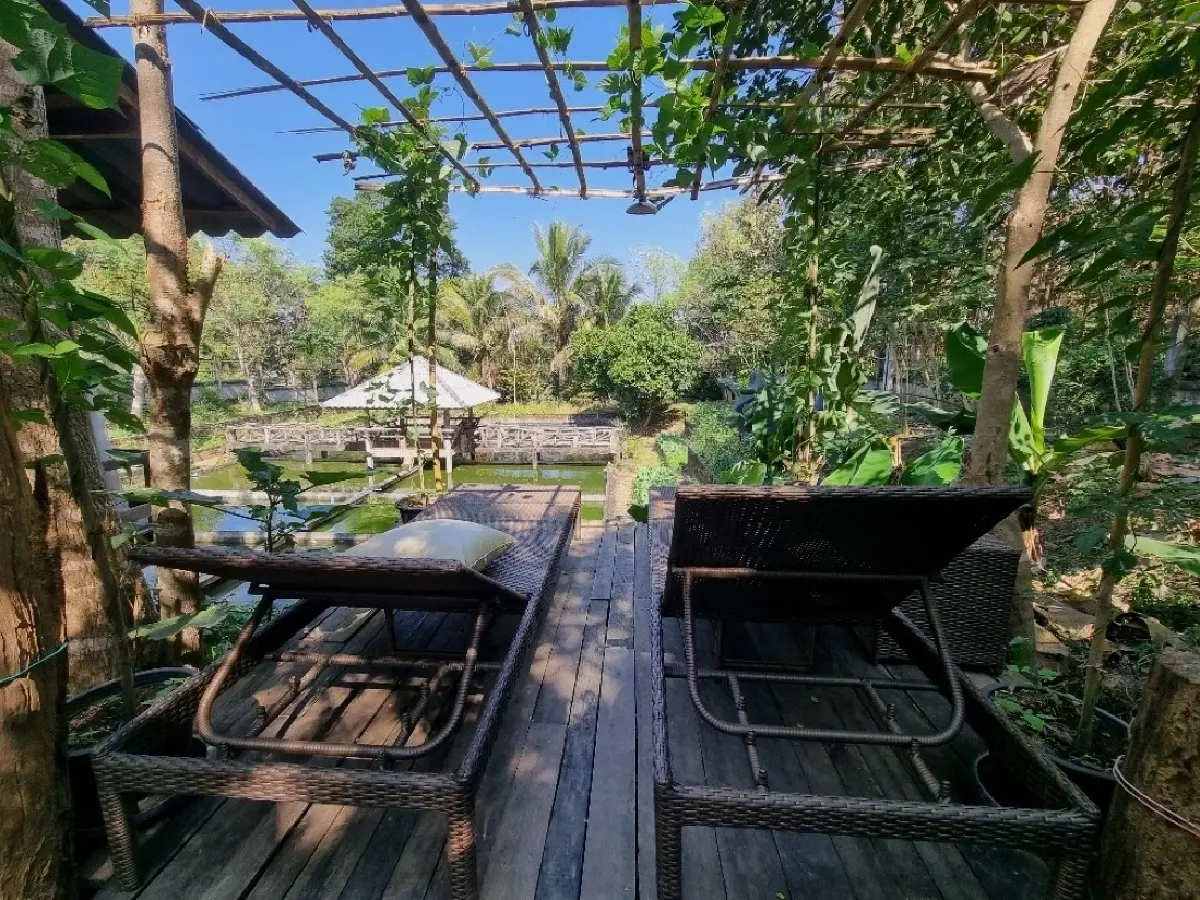 ‘พิกุล’คาเฟ่และสวนผักของคนรักสุขภาพ อ.เสริมงาม จ.ลำปาง