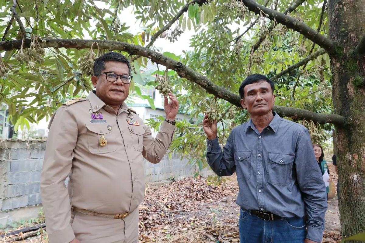 เกษตร เตรียมรับมือฤดูผลไม้ตะวันออก พร้อม คุมเข้มคุณภาพทุกมิติ คุมเข้มคุณภาพทุกมิติ