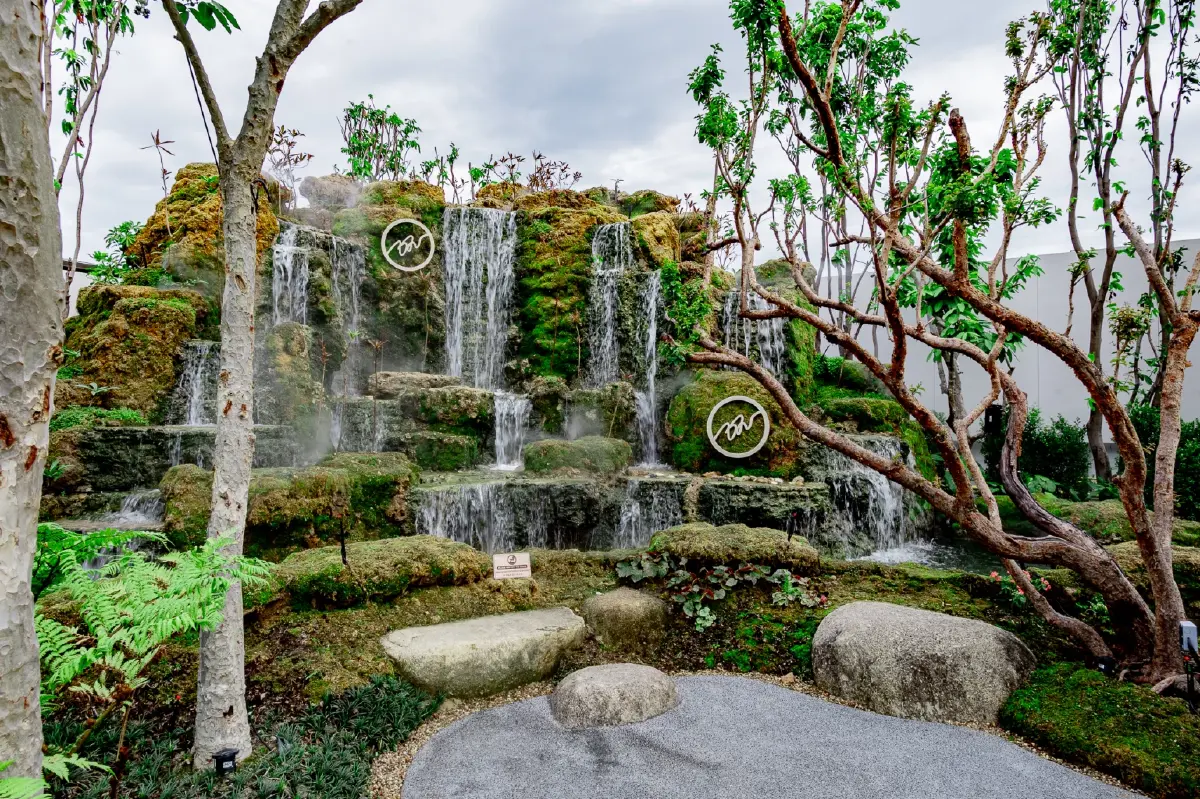 CHOM CAFÉ & RESTAURANT ต้นไม้เล็กจากเชียงใหม่ เติบโตเคียงต้นไม้ใหญ่ที่ The Chlorophyll หัวหิน