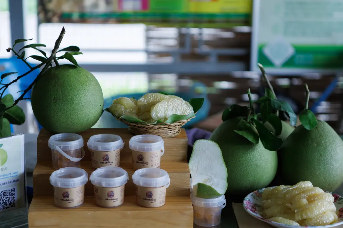 นักเดินทาง ‘นกนางนวล’ แห่งพื้นที่ชุ่มน้ำดอนหอยหลอด