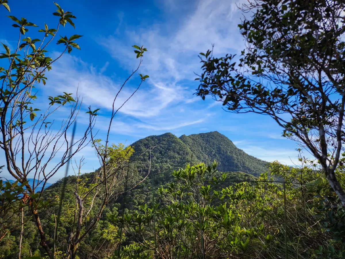 'ยอดเขาค้อม' อุทยานแห่งชาติเขานัน เส้นทางใหม่ที่สายลุยต้องลอง