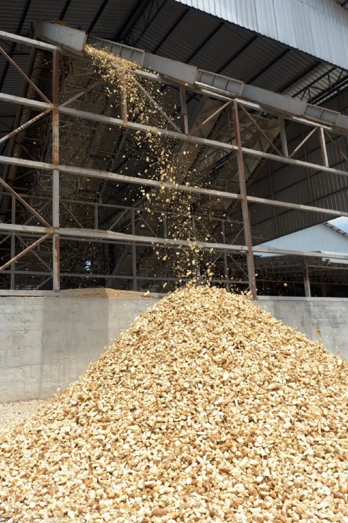 พาณิชย์ เข้มสกัดมันเส้นไม่ได้มาตรฐาน  9 ราย ชายแดนไทย–ลาว สั่งระงับนำเข้าทันที