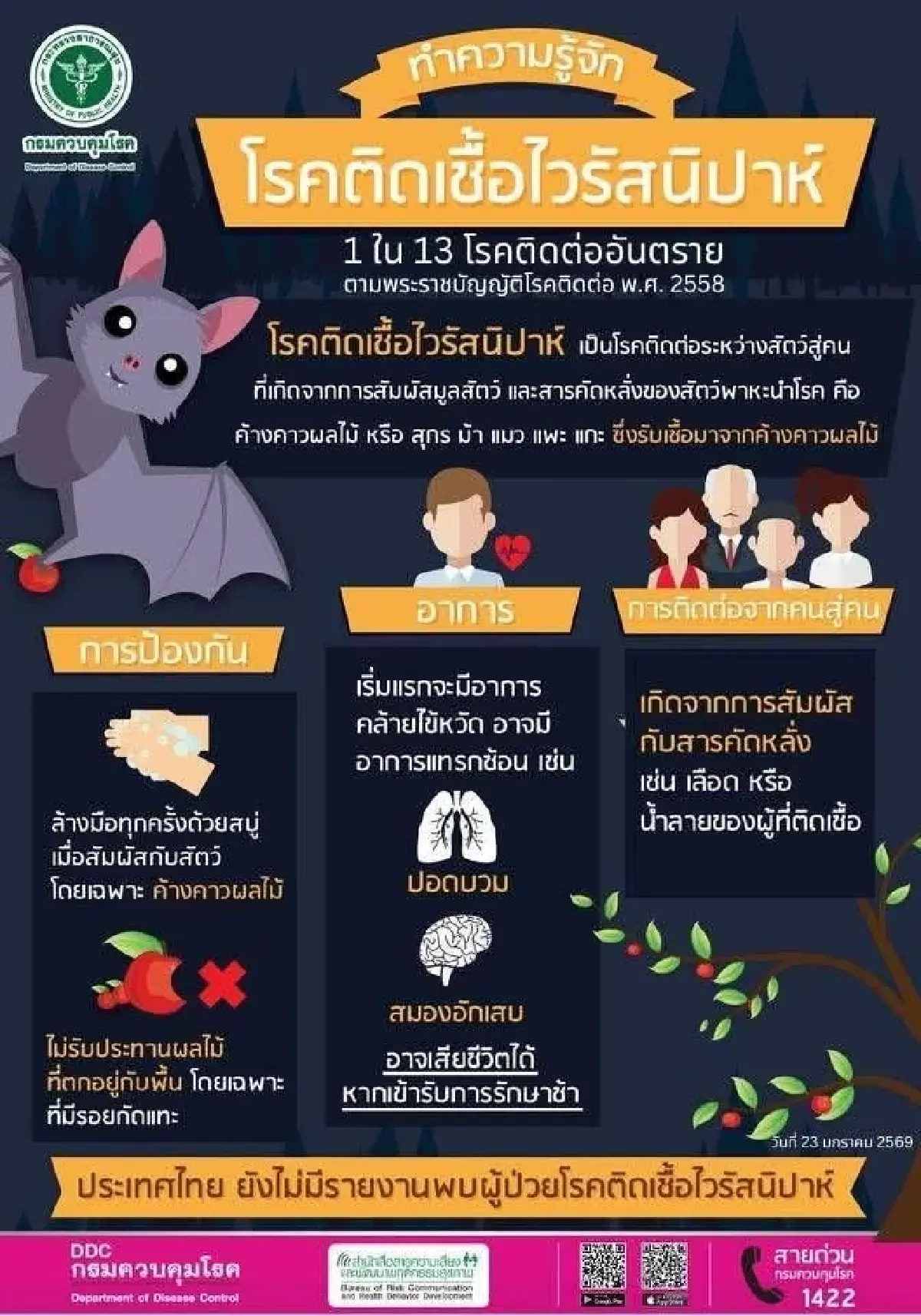 'ไวรัสนิปาห์' อัตราป่วยตายสูง 50- 70% ไม่มียารักษา พบติดคนสู่คน