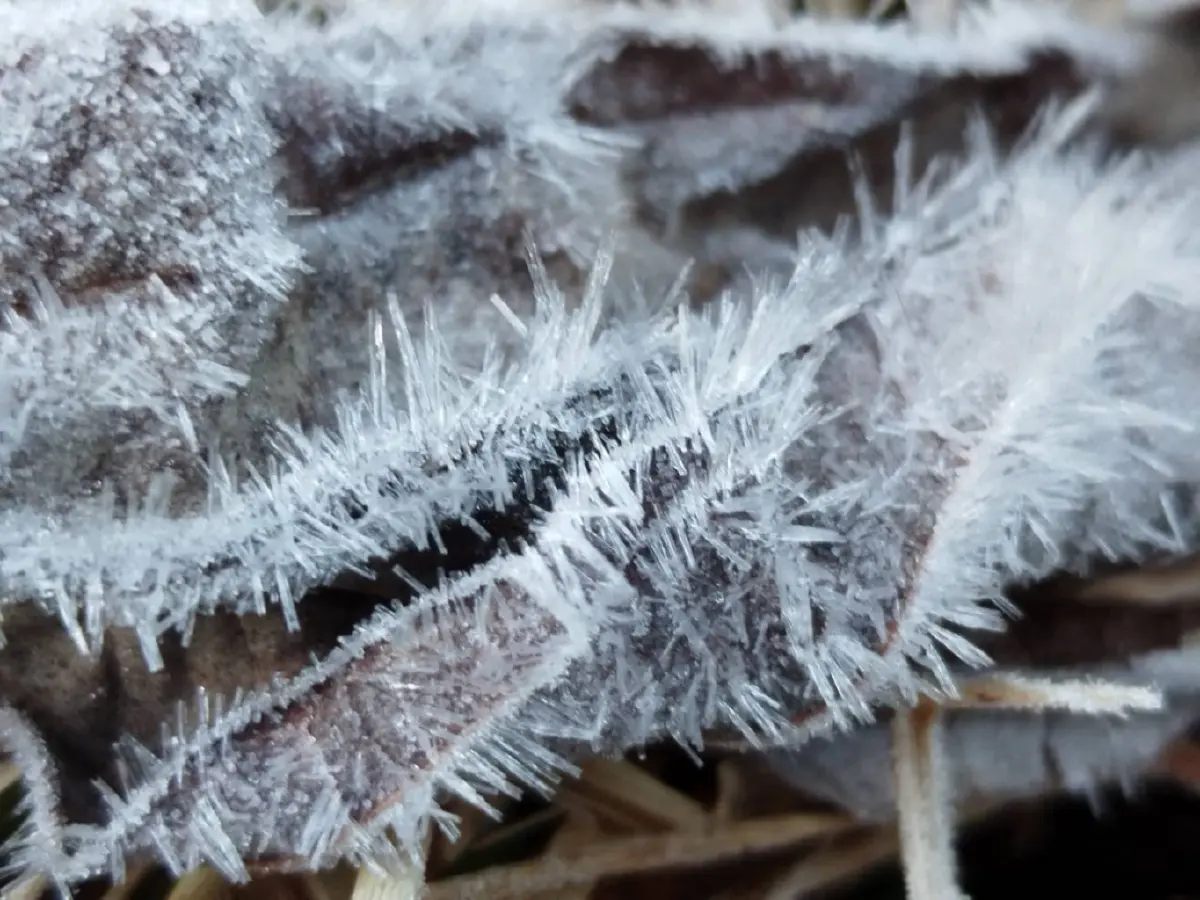 'แม่คะนิ้ง' โผล่ยอดดอยอินทนนท์ หนาวมาก 3°C นทท.แห่รับแสงแรก 2569