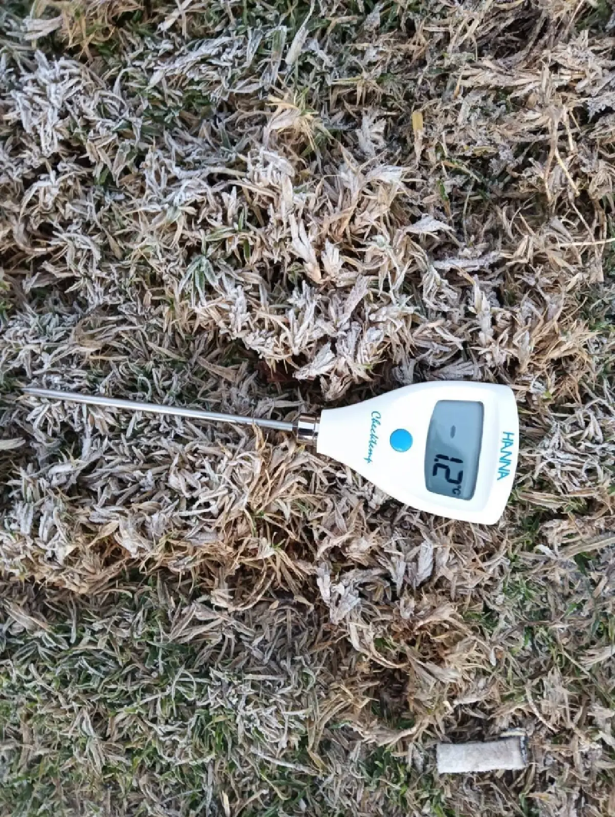 หนาวจนตัวสั่น! ดอยอินทนนท์-กิ่วแม่ปาน แตะ 0 องศาฯ ครั้งแรกของปี 69