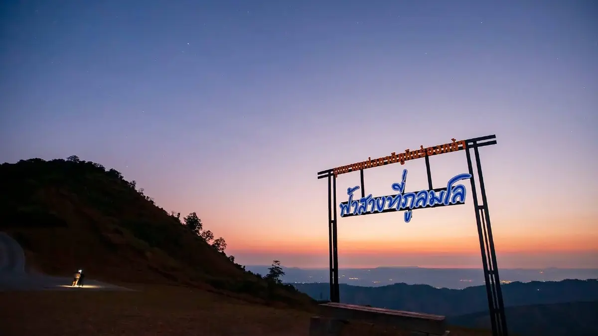 ชม ‘ซากุระเมืองไทย’ โค้งสุดท้าย ที่ ‘ภูลมโล’ กลางเดือนม.ค. 69