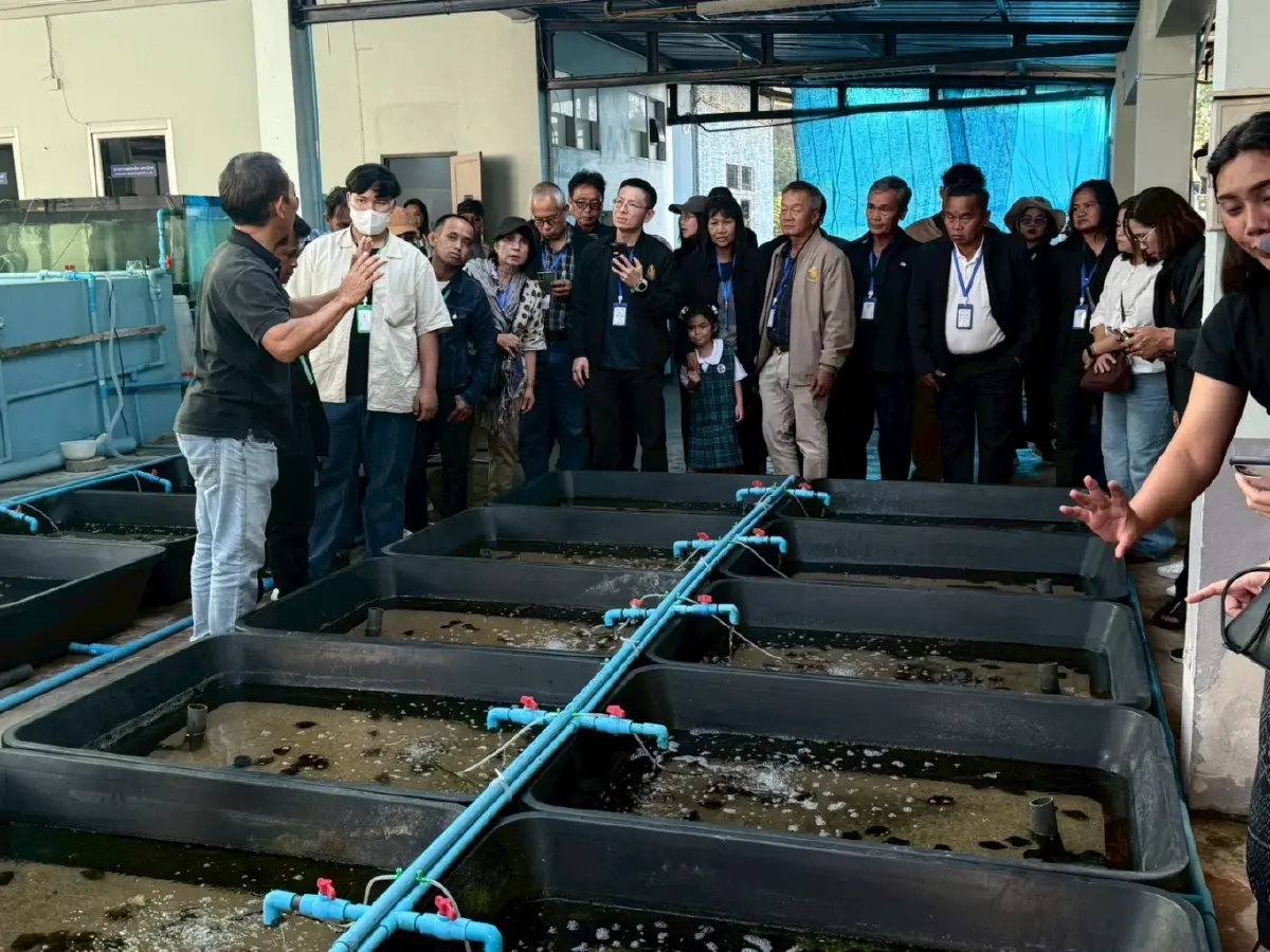 สศก. อัปสกิลเกษตรอาสา เสริมทักษะดิจิทัล เป้าแก้ปัญหาราคาสินค้าเกษตร