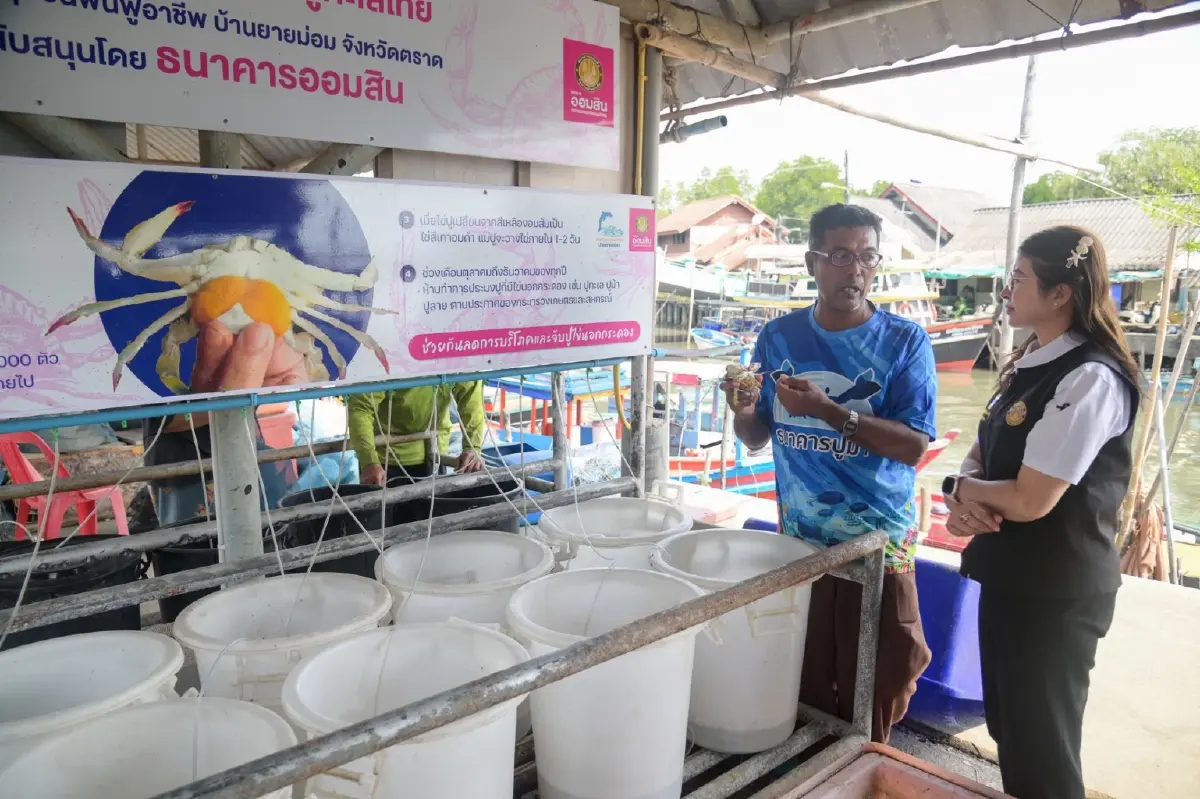 กรมประมง โชว์ 7 ปี ยกระดับองค์กรประมงท้องถิ่น ดันรายได้ ปี’68 พุ่ง 464.57 ล้านบาท