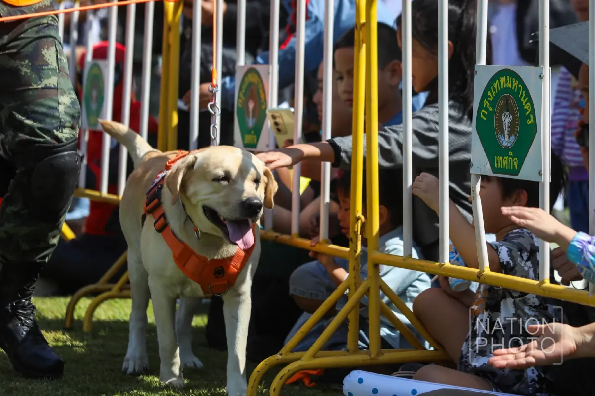 ชมความน่ารัก “สุนัขทหาร K9” โชว์ความสามารถในงาน “วันเด็กแห่งชาติ 2569”