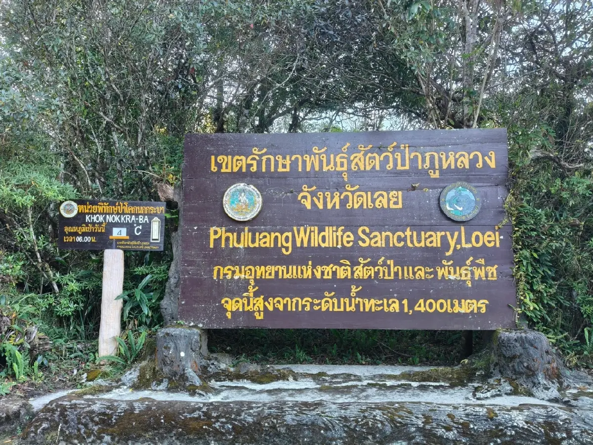 แม่คะนิ้ง ขาวโพลนแรกของปี 2569 โผล่ยอดภูหลวง อุณหภูมิดิ่ง 4 องศา