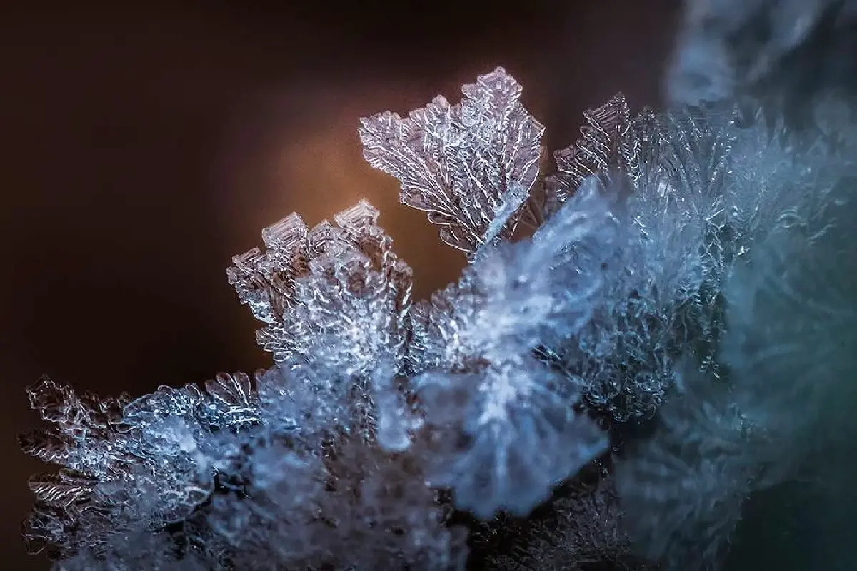 'ภูหินร่องกล้า' หนาวจัด ทะลุจุดเยือกแข็ง -4 องศา เกิดแม่คะนิ้งต่อเนื่องวันที่ 3