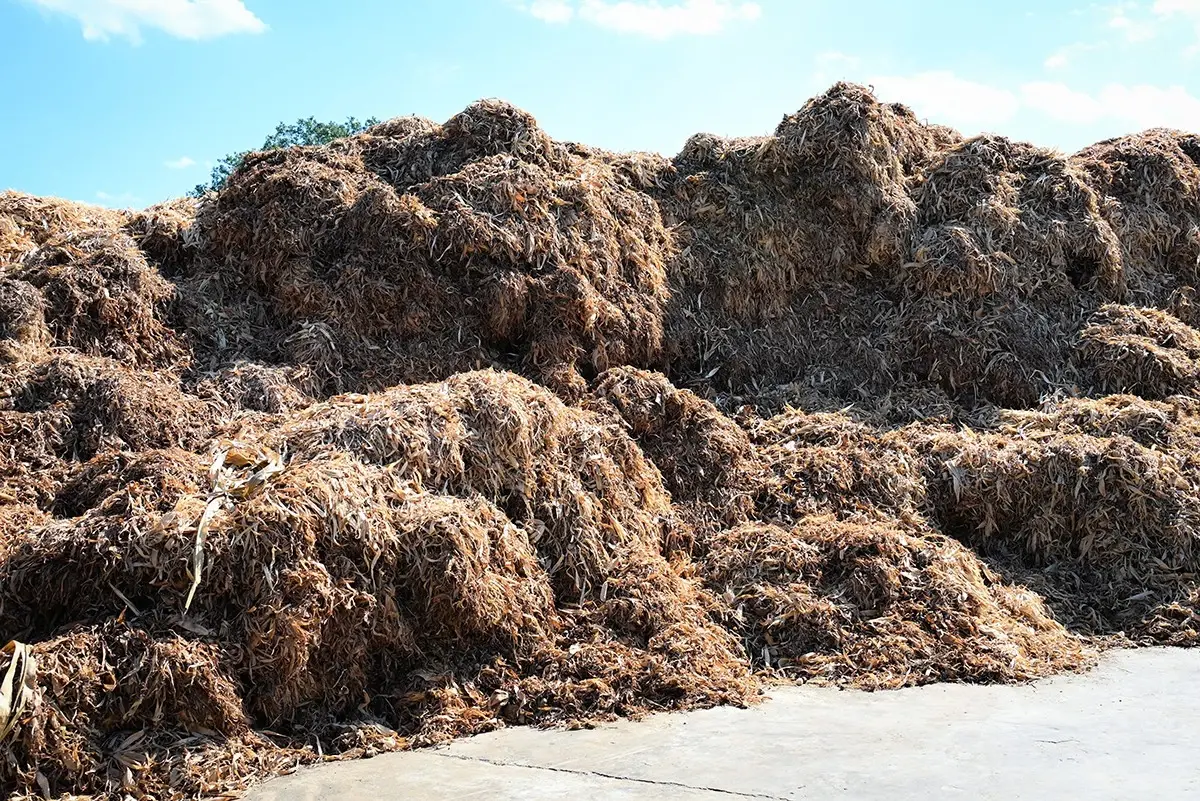 เกษตร Kick-off ลดเผาในภาคเหนือหนุนทำเกษตรคาร์บอนต่ำ  สร้างมูลค่าเพิ่ม