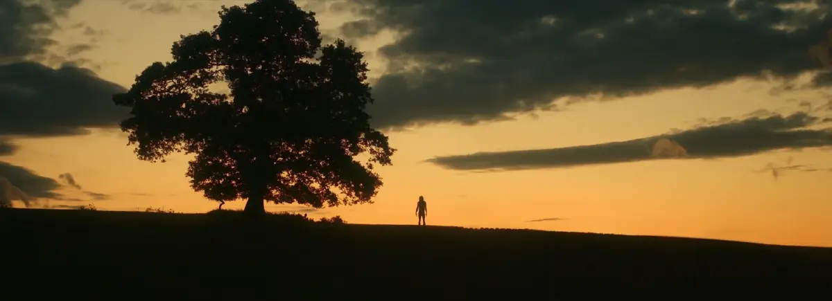 จาก 28 Days Later ถึง 28 Years Later แฟรนไชส์ซอมบี้ที่ยาวนานถึง 24 ปี