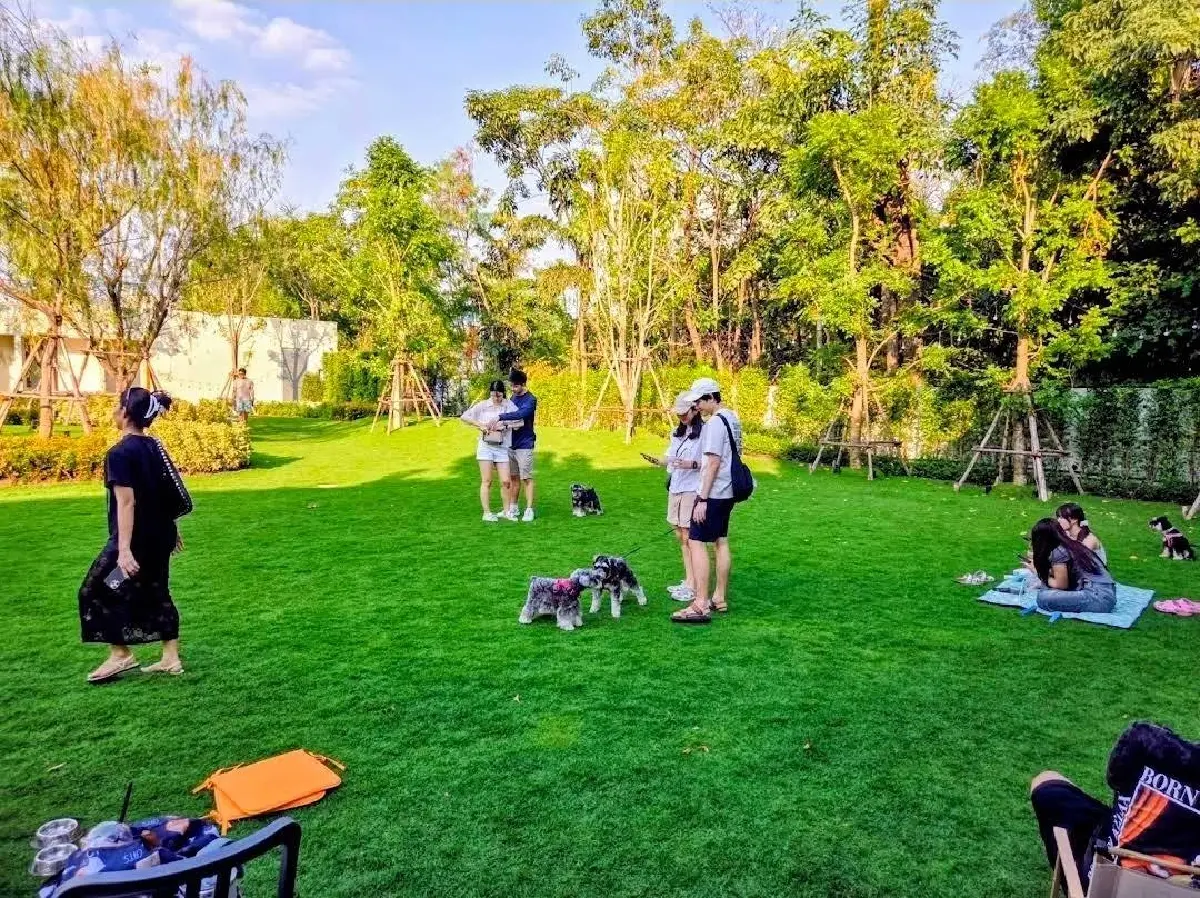 'ฮุนด์เฮ้าส์' คลับไฮโซของน้องหมาเปิดใหม่ ค่าสมาชิกปีละแสนสอง!