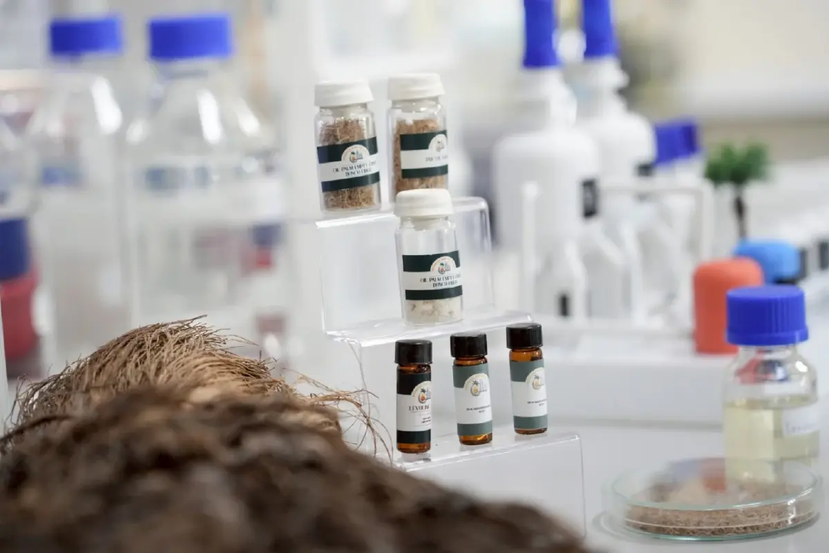 ม.วลัยลักษณ์เปลี่ยนทะลายปาล์มเหลือทิ้งราคา 1 สตางค์ สู่สารชีวเคมีมูลค่าหลักล้าน