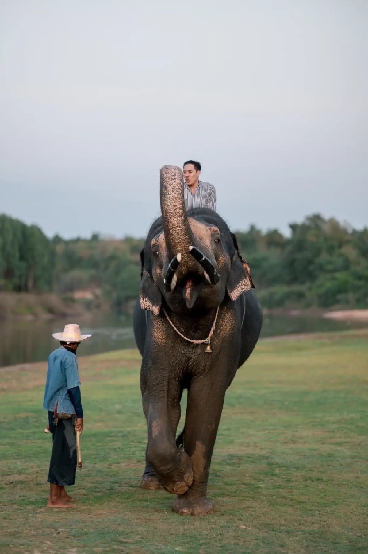 ลมหายใจแห่งวิถีคนกับช้าง @SIAM FOSSIL ณ อุทยานเรียนรู้เพ ลา เพลิน บุรีรัมย์