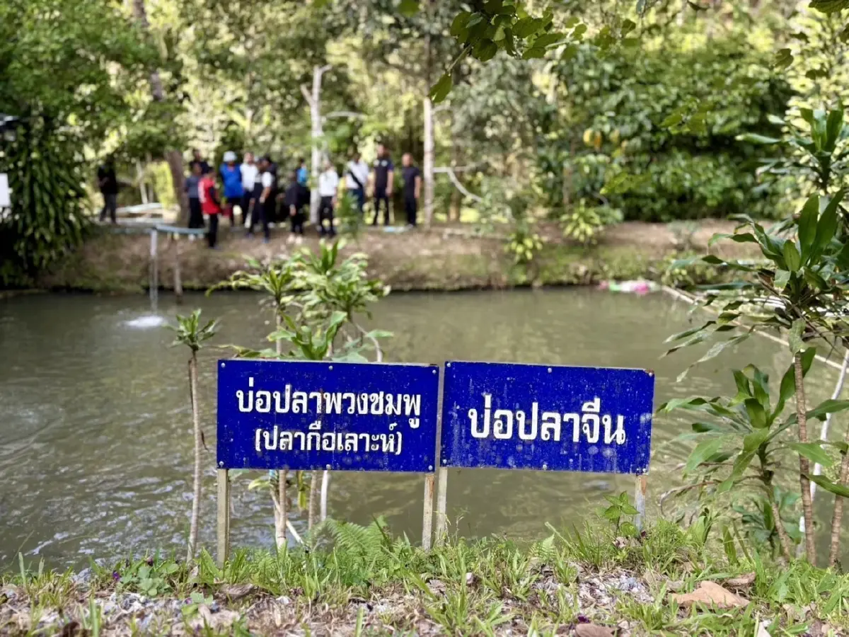 ดัน ‘ปลาพลวงชมพู’ ขึ้นแท่น GI ยะลาตัวใหม่ ยกระดับเศรษฐกิจชายแดนใต้